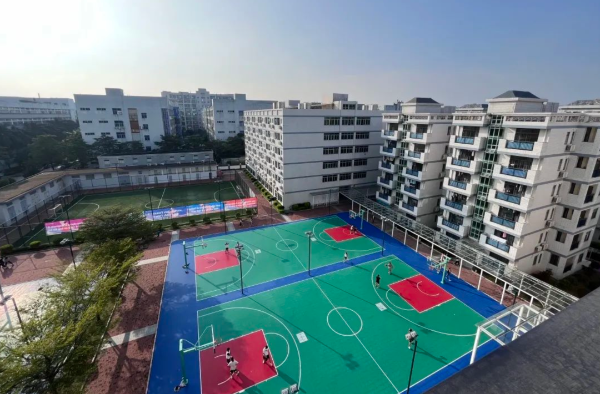 深圳新哲书院——曾创下深圳首枚哈佛、MIT本科录取奇迹